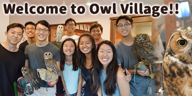 tokyo themed restaurant owl cafe